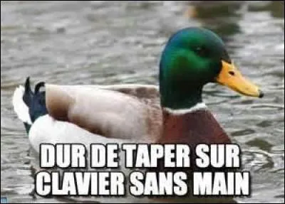 Voilà que cela commence mal ! Qu'arrive-t-il quand on a une difficulté de coordonner la pensée et les doigts tapotant sur le clavier ?