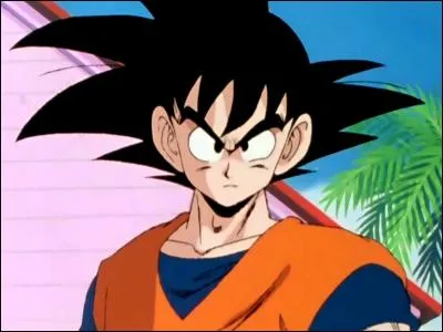 Son Goku est un personne du manga "One Piece".