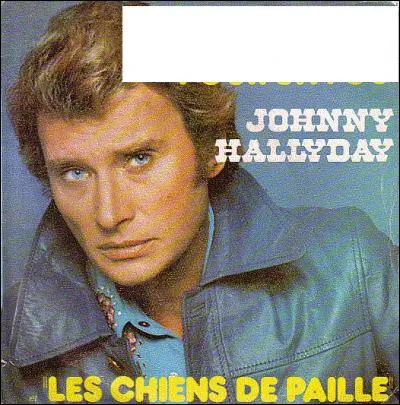 "Requiem pour un fou" est une chanson appartenant à Johnny Hallyday.