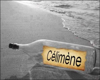 Quel est l'interprète de cette chanson ?