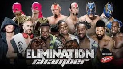 (Tag Team Championship - Elimination Chamber Tag Team Match) 
Qui remporte ce combat incroyable ?