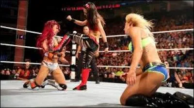 Match 4 : Triple Threat Match : 
Qui gagne ce match ?