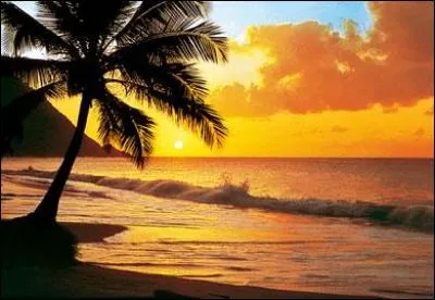 Quelle chanteuse a eu du succès durant l'été 2002 avec son tube "Au soleil" ?