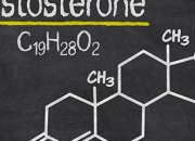 Quiz Le systme endocrinien (hormonal)