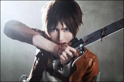 Quel est ce cosplay ?