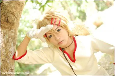 Quel est ce cosplay ?