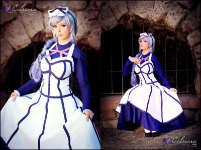 Quel est ce cosplay ?