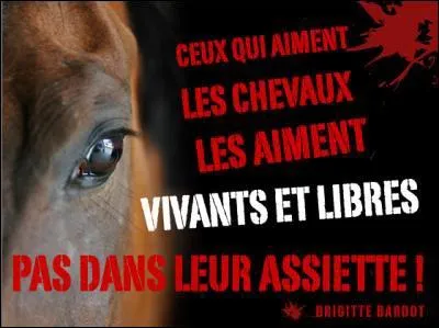 L'hippophagie était très répandue dans la préhistoire et l'Antiquité, sauf chez les Grecs et les Romains. Sa consommation a été interdite en 732 par le pape Grégoire III, qui voulait lutter contre des pratiques païennes.