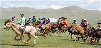 Qui participe aux courses de chevaux de la fête nationale en Mongolie ?