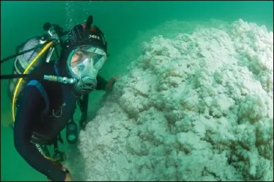 Cette énorme masse blanchâtre se trouve au fond de la mer Morte. De quoi s'agit-il ?