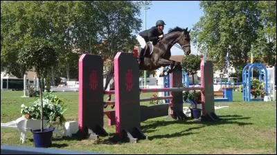 Quel est le nom de ce sport ?