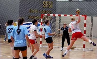 Quel est le nom de ce sport ?