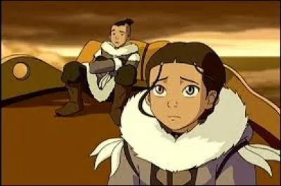 Quel lien lie Katara et Sokka ?