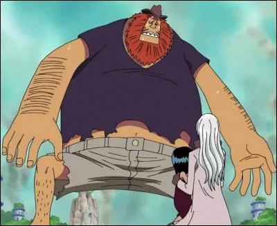 Quel rire Robin apprend-elle de Haguar D. Sauro ?