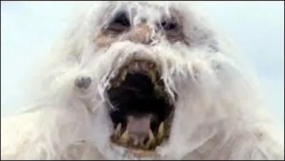 Dans quel volet de "Star Wars" cette créature apparaît-elle ?