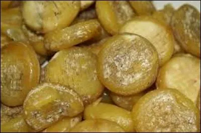 Quel est ce fromage &agrave; base de lait de vache ?