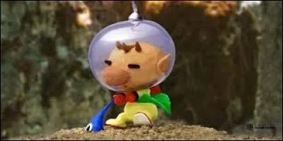Quel espèce de Pikmin Olimar est-il sur le point de déterrer, et quelle est sa particularité ?