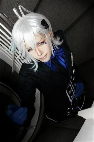 Quel est ce cosplay ?