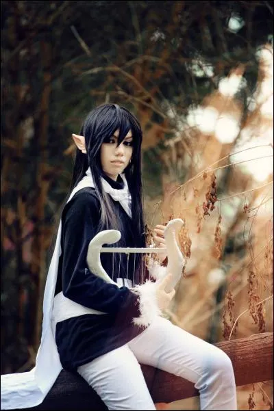 Quel est ce cosplay ?