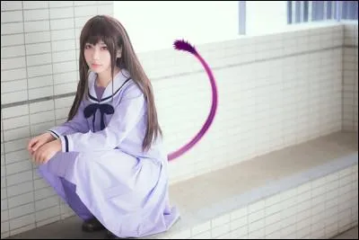 Quel est ce cosplay ?