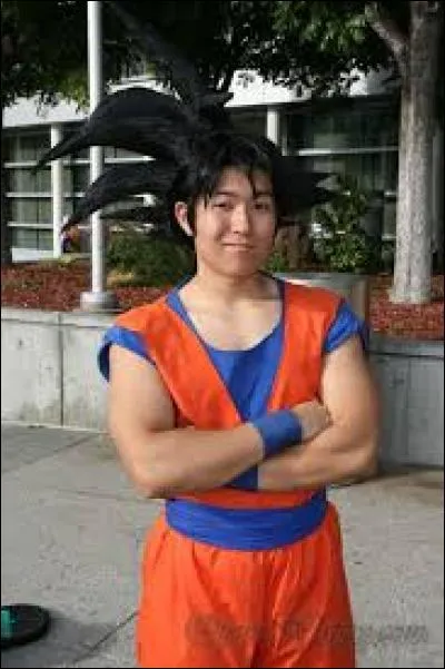 Quel est ce cosplay de Dragon Ball Z ?