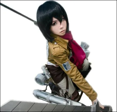 Quel est ce cosplay ?