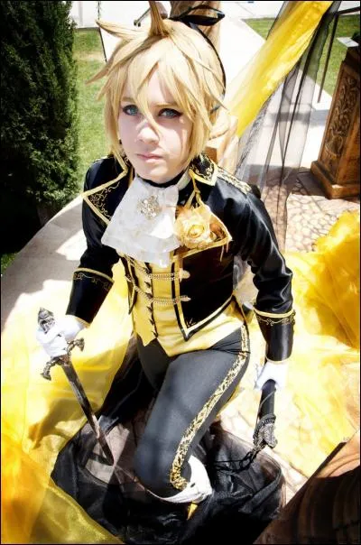 Quel est ce cosplay ?