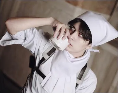 Quel est ce cosplay ?