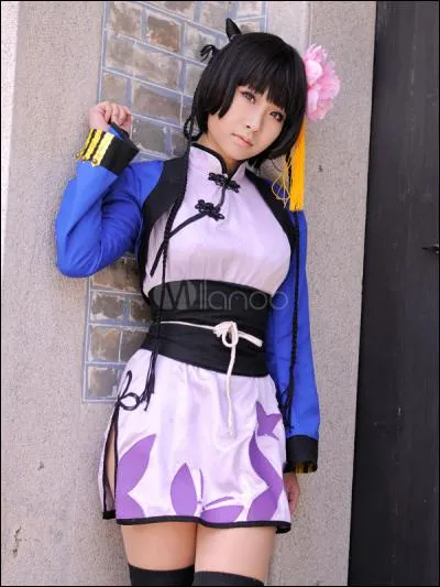 Quel est ce cosplay ?