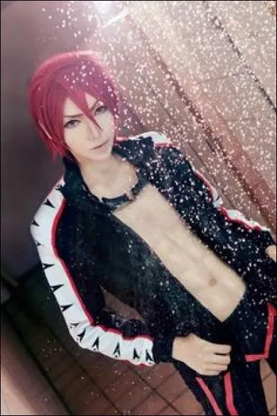 Quel est ce cosplay ?