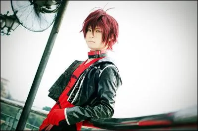 Quel est ce cosplay ?