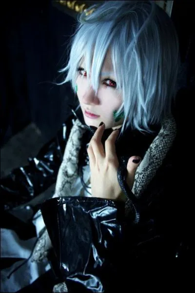 Quel est ce cosplay ?