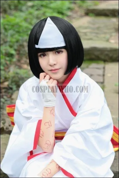 Quel est ce cosplay ?