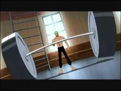 Dans le chapitre 490, tome 50, quel est le poids total soulevé par Zoro ?