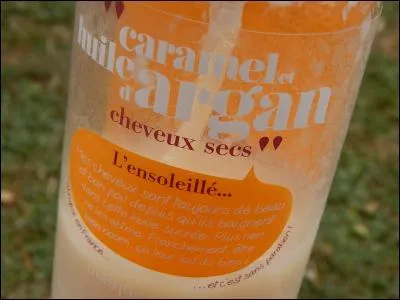 Quelle est cette marque ?