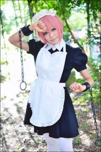Quel est ce cosplay ?