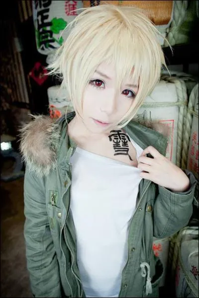 Quel est ce cosplay ?