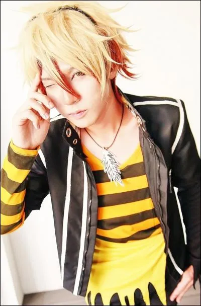 Quel est ce cosplay ?