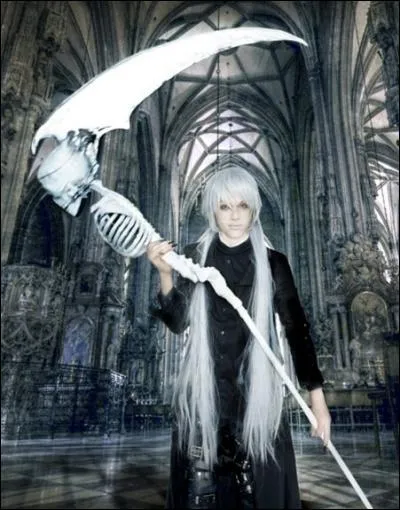 Quel est ce cosplay ?