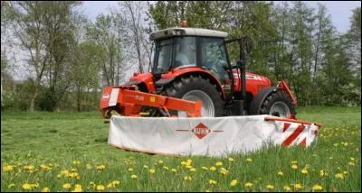 Que fait-il dans le pré ?