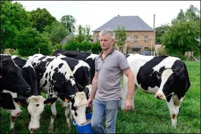 Qu'est-il en train de faire ?