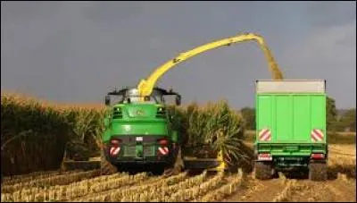 Que font-ils dans le champ de culture ?