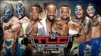 Match 1 : Tag Team Championship : Triple Threat Tag Team Ladder Match.
Quelle équipe remporte ce combat par équipes ?