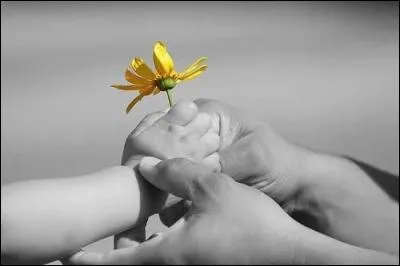 Complétez le début de ce célèbre proverbe : ...... y'a de l'espoir