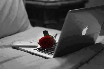 Si je vous dis que mon quiz est si facile que je vous garantis à tous au moins 95 % de réussite :