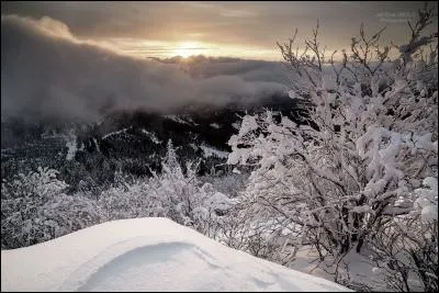 Dans le domaine du ski alpin, où est située la catégorie "Espoirs" ?