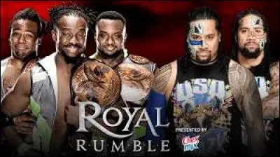 (Tag Team Championship) 
Quelle équipe remporte ce combat par équipes ?