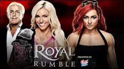 (Divas Championship)
Qui remporte ce match de divas ?