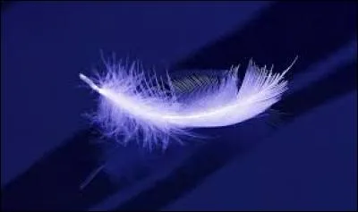 Que pensait-il de cette posture, ce jour-ci ?