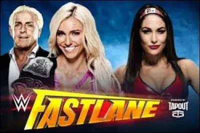 Match 4 : Divas Championship. 
Qui gagne ce combat de divas ?